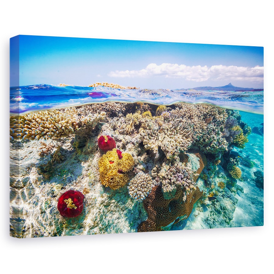 Tablou canvas - Mayotte Reciful, Recif, Mare, Ocean, Laguna, Mayotte, 20 x 30 cm
