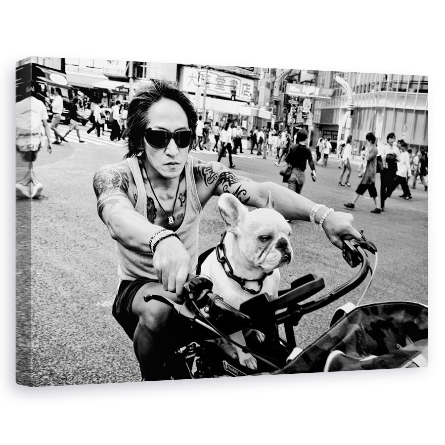 Tablou canvas - Atitudine, Strada, Atitudine, Caine, Pet, Animal, 20 x 30 cm