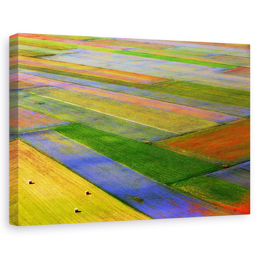 Tablou canvas - Coperta, Castelluccio, Flori, Umbria, 20 x 30 cm