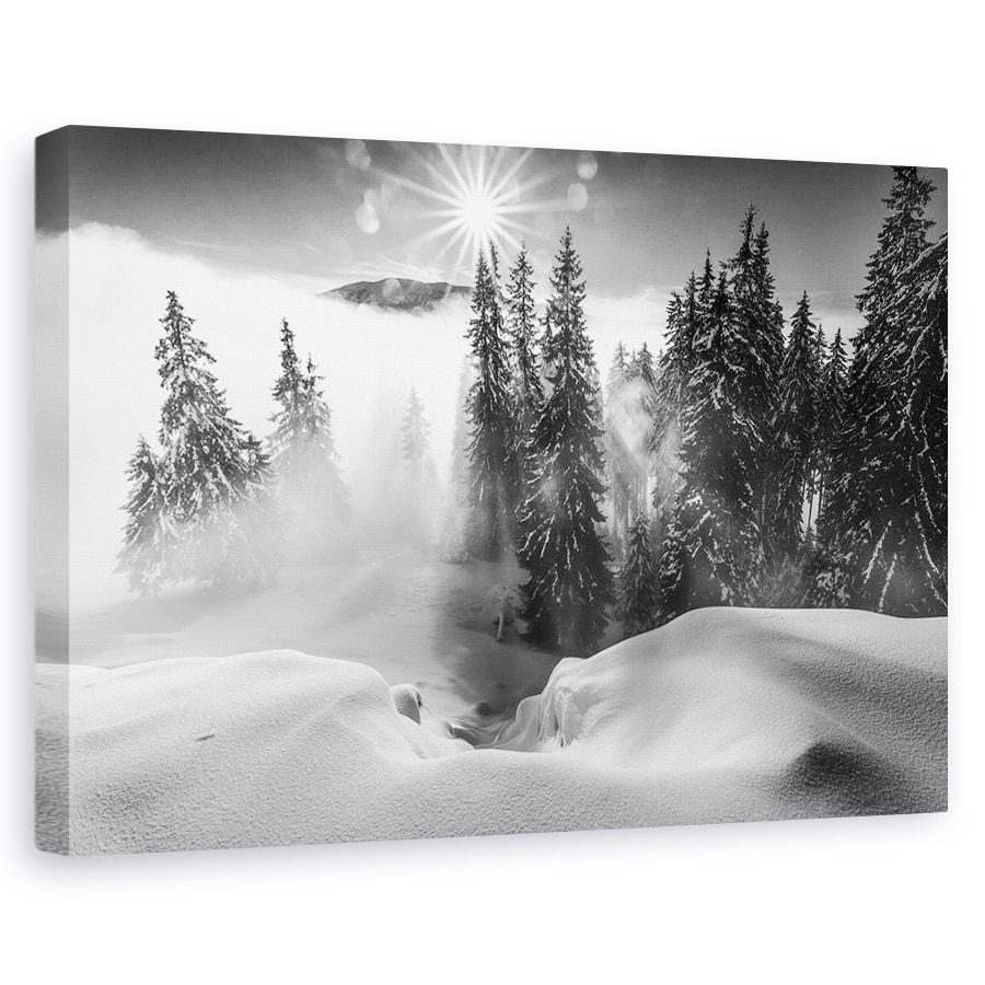 Tablou canvas - O Poveste De Iarna, Iarna, Rarau, Munti, Bucovina, Romania, 80x120 cm