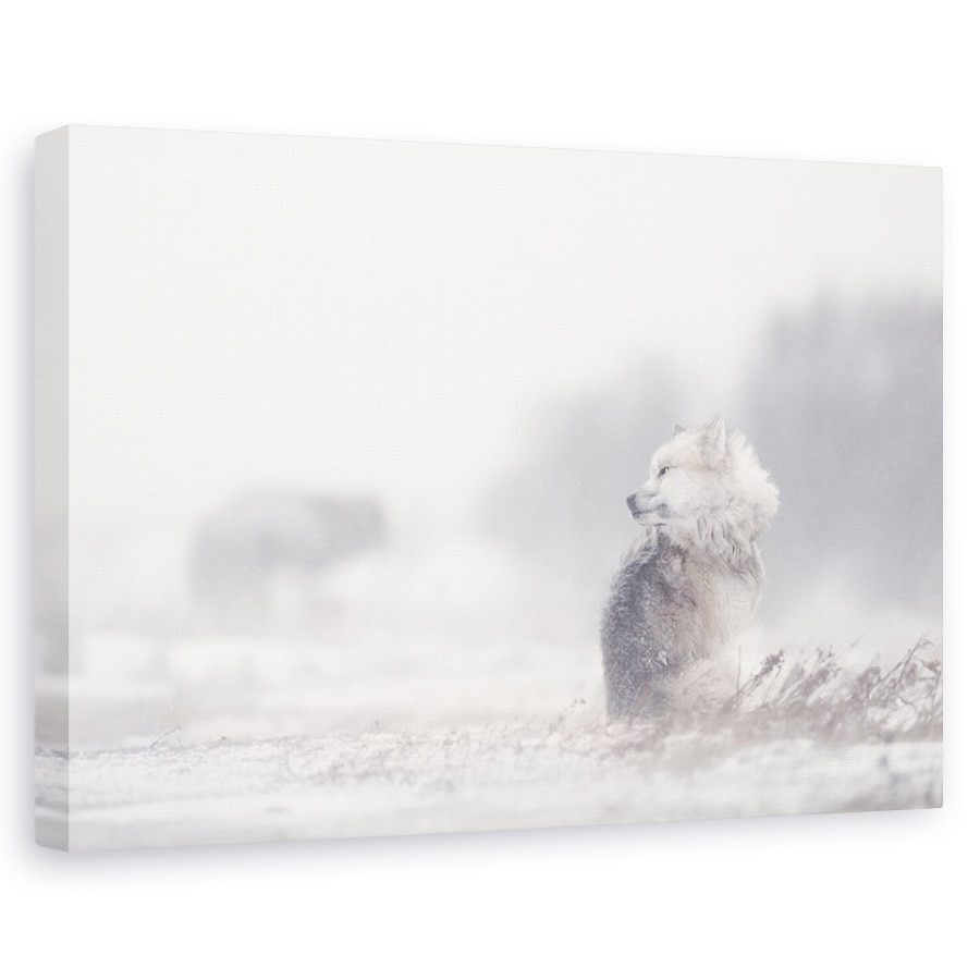 Tablou canvas - Caini In Furtuna, Canada, Rece, 20 x 30 cm