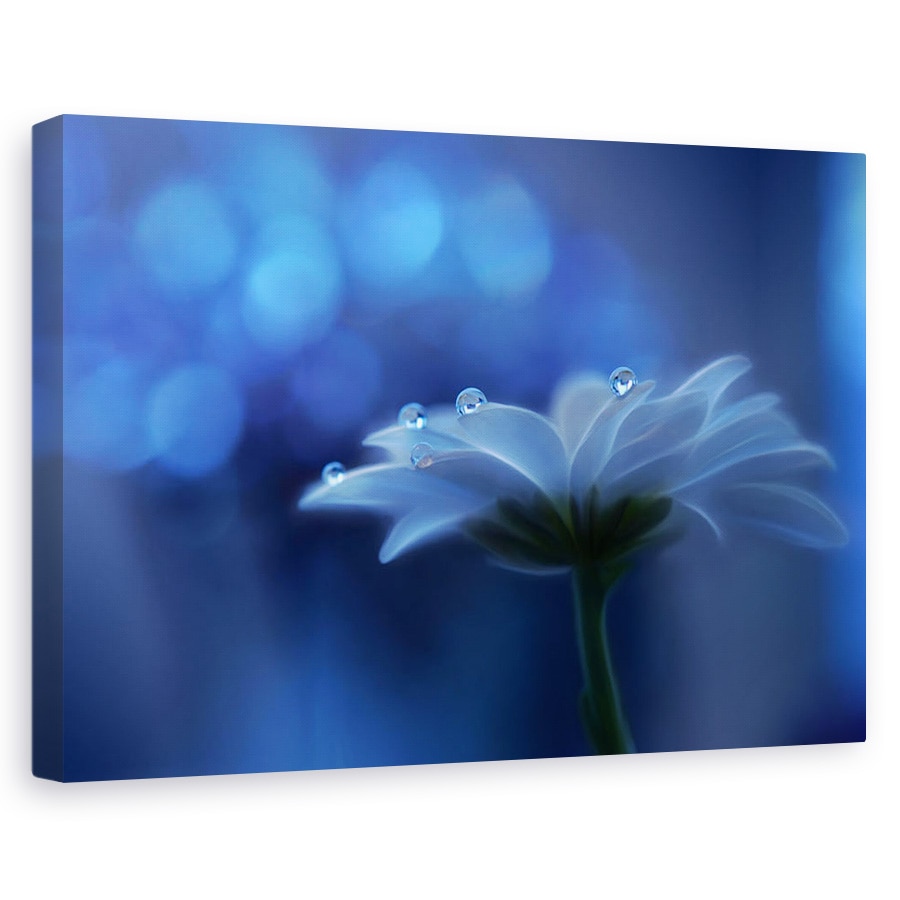Tablou canvas - Visele Spatiale, Picatura, Apa, Floare, Albastru, 20 x 30 cm