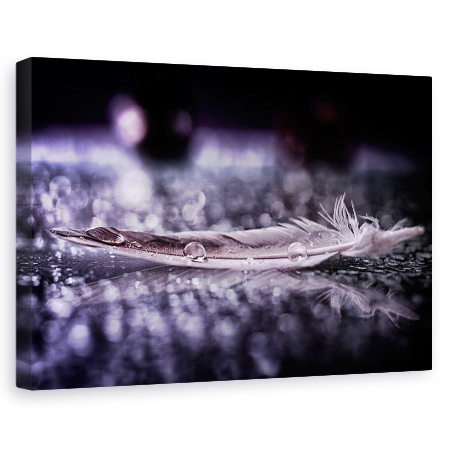 Tablou canvas - Pene Si Picatura ii, Natura Moarta, Apa, 80x120 cm