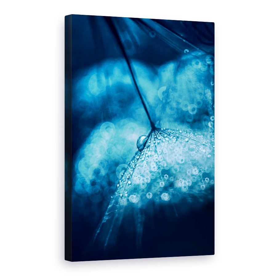 Tablou canvas - Albastru, Macro, Picaturi, Papadie, 40 x 60 cm