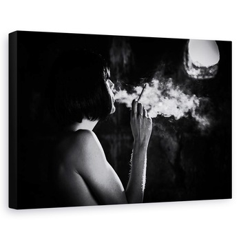 Tablou canvas - In Fum, Monocrom, Cinematic, Fum, Lumina, 40 x 60 cm Tablou canvas - In Fum, Monocrom, Cinematic, Fum, Lumina, 40 x 60 cm