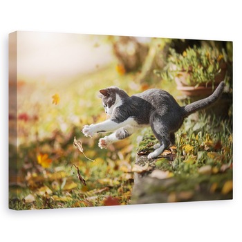 Tablou canvas - Joc De Toamna, Pisica, Pet, Animale De Companie, Acasa, 40 x 60 cm Tablou canvas - Joc De Toamna, Pisica, Pet, Animale De Companie, Acasa, 40 x 60 cm