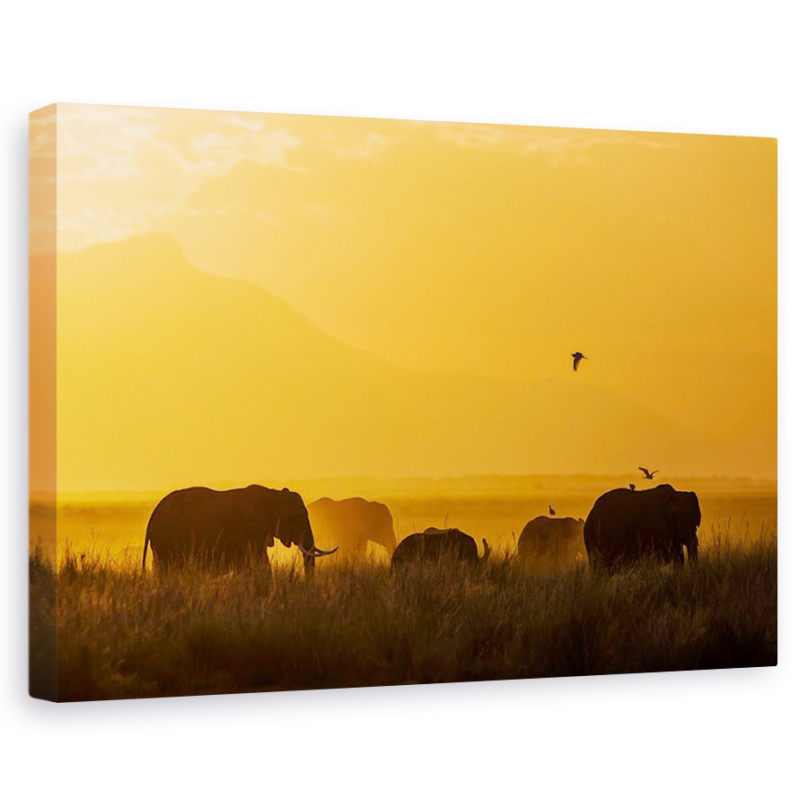 Tablou canvas - Pace, Elefant, Africa, Familie, Apus De Soare, 20 x 30 cm