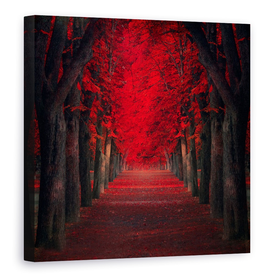 Tablou canvas - Pasiune Nesfarsita, 80 x 80 cm