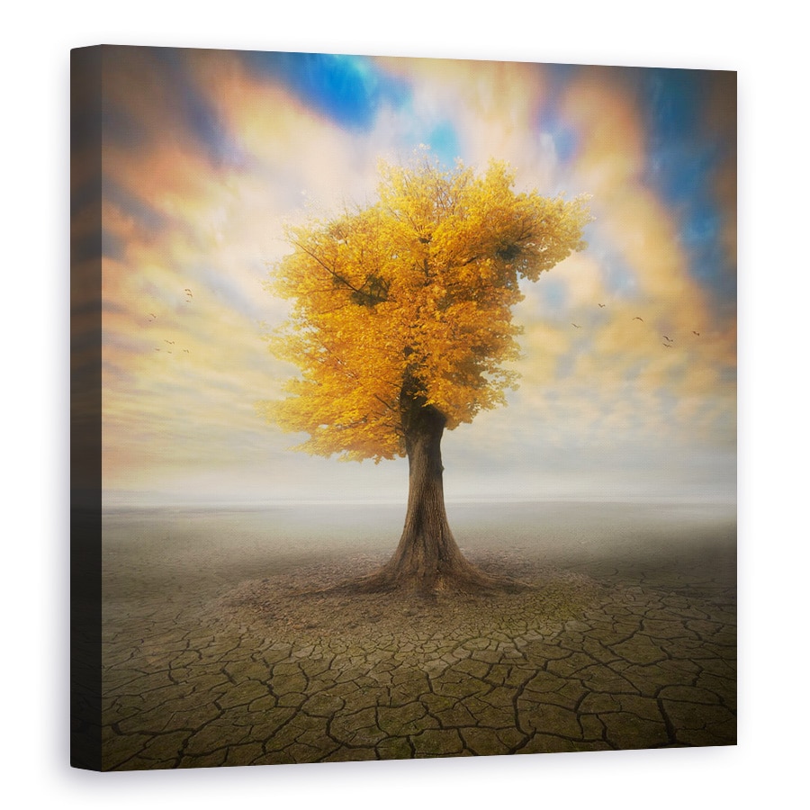 Tablou canvas - Singuratic, Copac, 80 x 80 cm