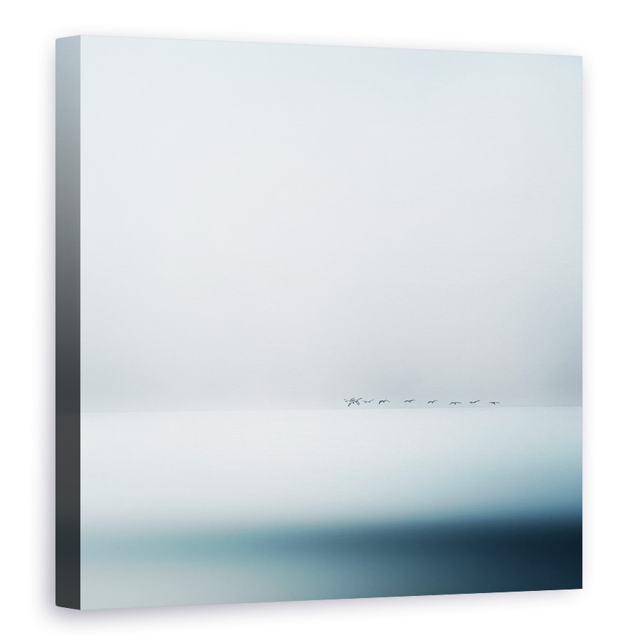 Tablou canvas - Gaste Salbatice, Mare, Apa, Cer, Pasari, Minimalislm, 40 x 40 cm