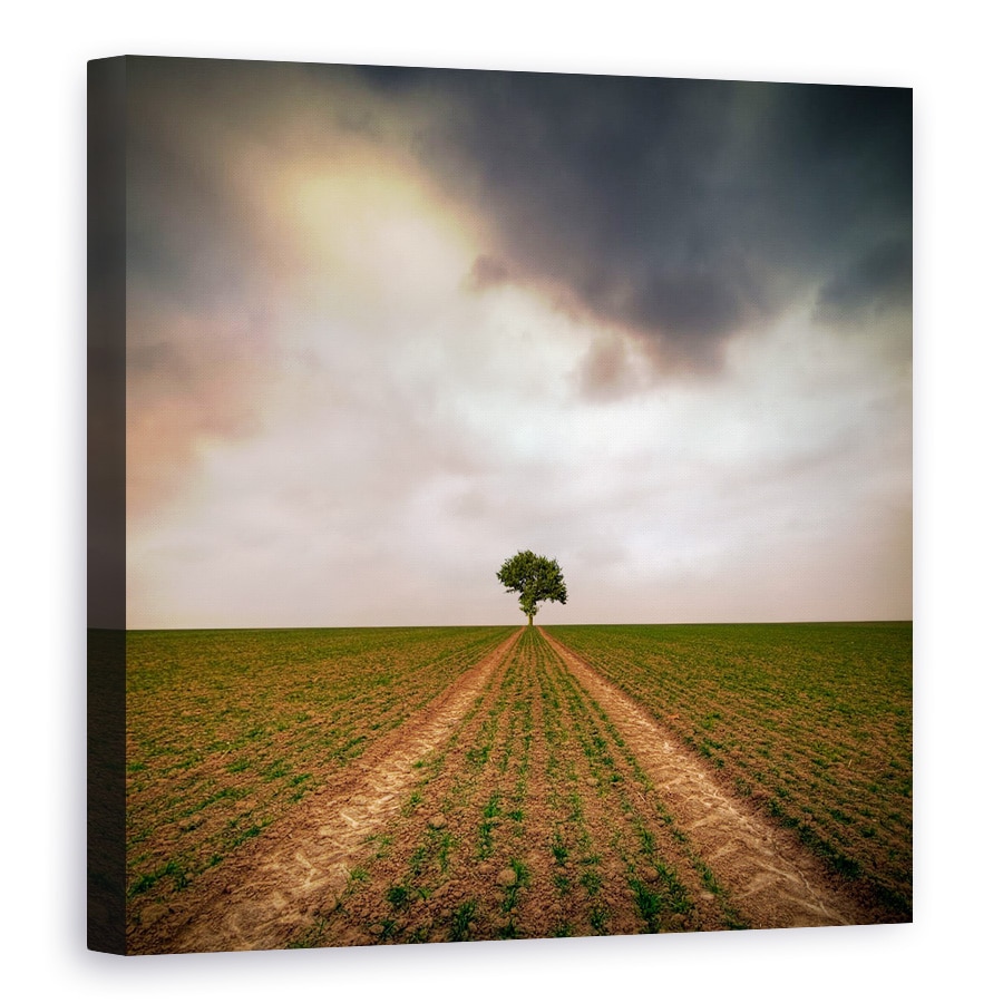 Tablou canvas - Un Copac, Singuratic, Piese, Drum, 40 x 40 cm