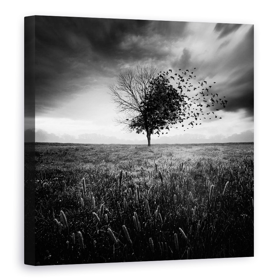 Tablou canvas - Iluzia Unei Primaveri Pierdute, Singuratic, Alb-Negru, Artistic, Pasari, 40 x 40 cm