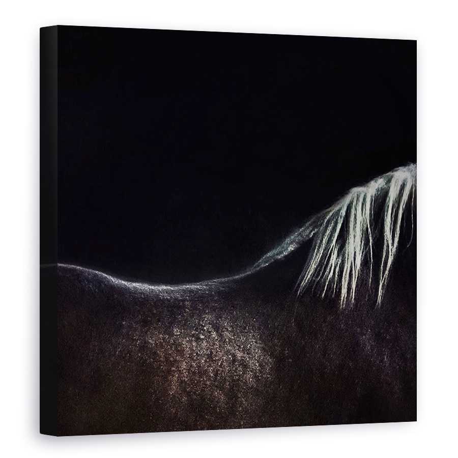 Tablou canvas - Calul Gol, Bruges, Belgia, Animale, Abstract, Coama, 80 x 80 cm
