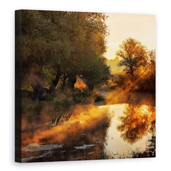 Tablou canvas - Cand Peisajul Picteaza Cu Lumina , Ceata, Toamna, Ray, 60 x 60 cm Tablou canvas - Cand Peisajul Picteaza Cu Lumina , Ceata, Toamna, Ray, 60 x 60 cm