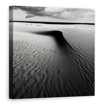 Tablou canvas - Umbrela Pe Plaja, Iwim, Olanda, Zebra, Dungi, 70 x 70 cm Tablou canvas - Umbrela Pe Plaja, Iwim, Olanda, Zebra, Dungi, 70 x 70 cm