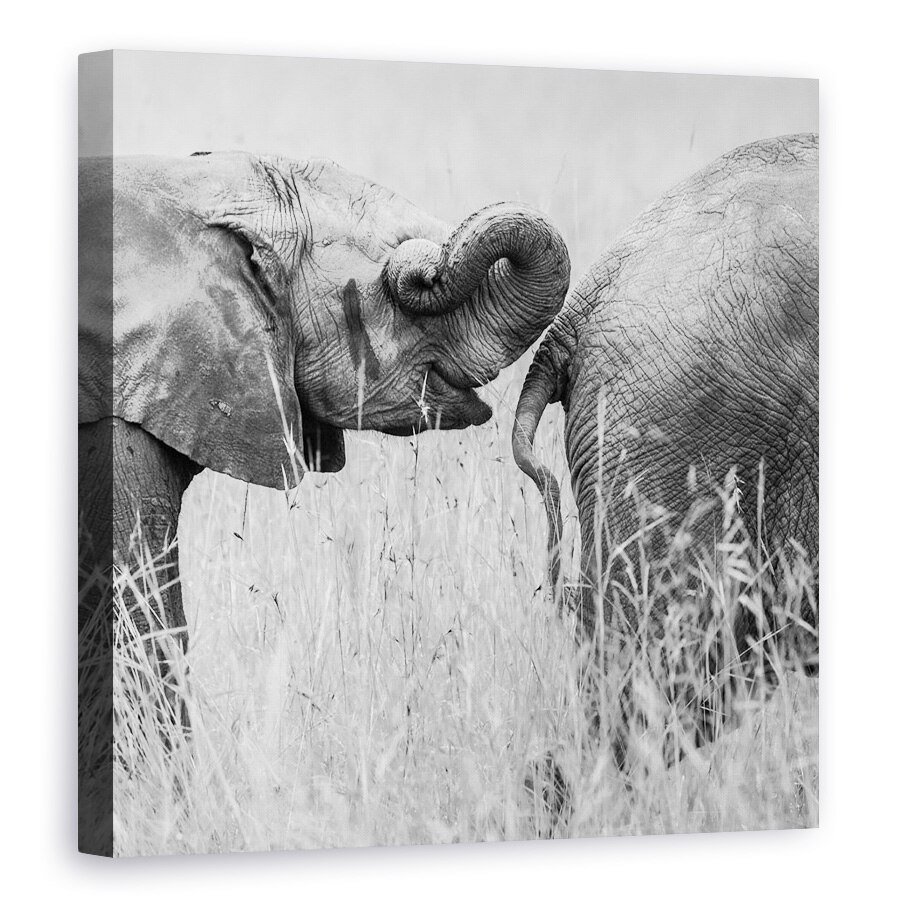Tablou canvas - Itrunk, Elefanti, Distractie, Amuzant, Umor, 70 x 70 cm