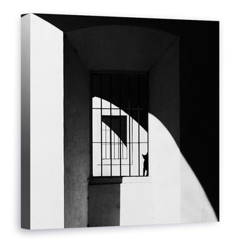 Tablou canvas - Pisica Neagra, Grafic, Alb-Negru, Fereastra, Contrast, Umbra, 80 x 80 cm Tablou canvas - Pisica Neagra, Grafic, Alb-Negru, Fereastra, Contrast, Umbra, 80 x 80 cm