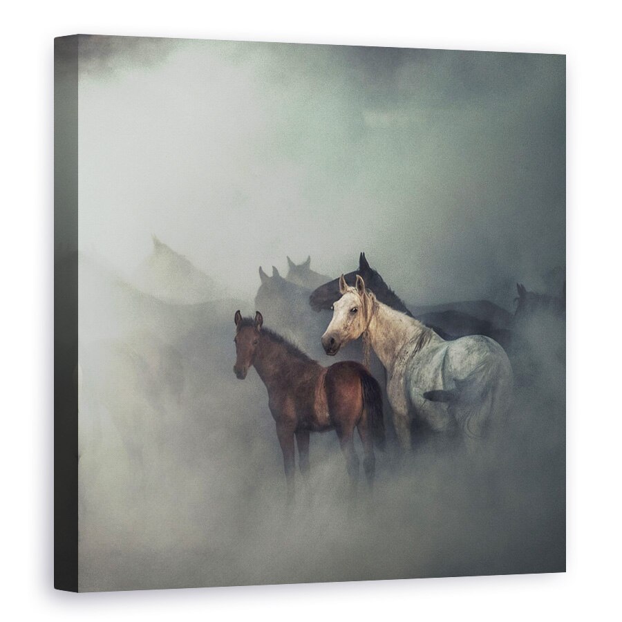 Tablou canvas - Caii Pierduti, Animale, Animal, Praf, 70 x 70 cm