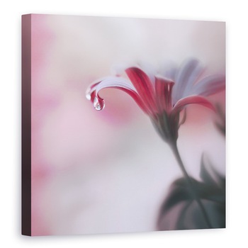 Tablou canvas - Atingere Invizibila, Perla, Picatura, Floare, 80 x 80 cm Tablou canvas - Atingere Invizibila, Perla, Picatura, Floare, 80 x 80 cm