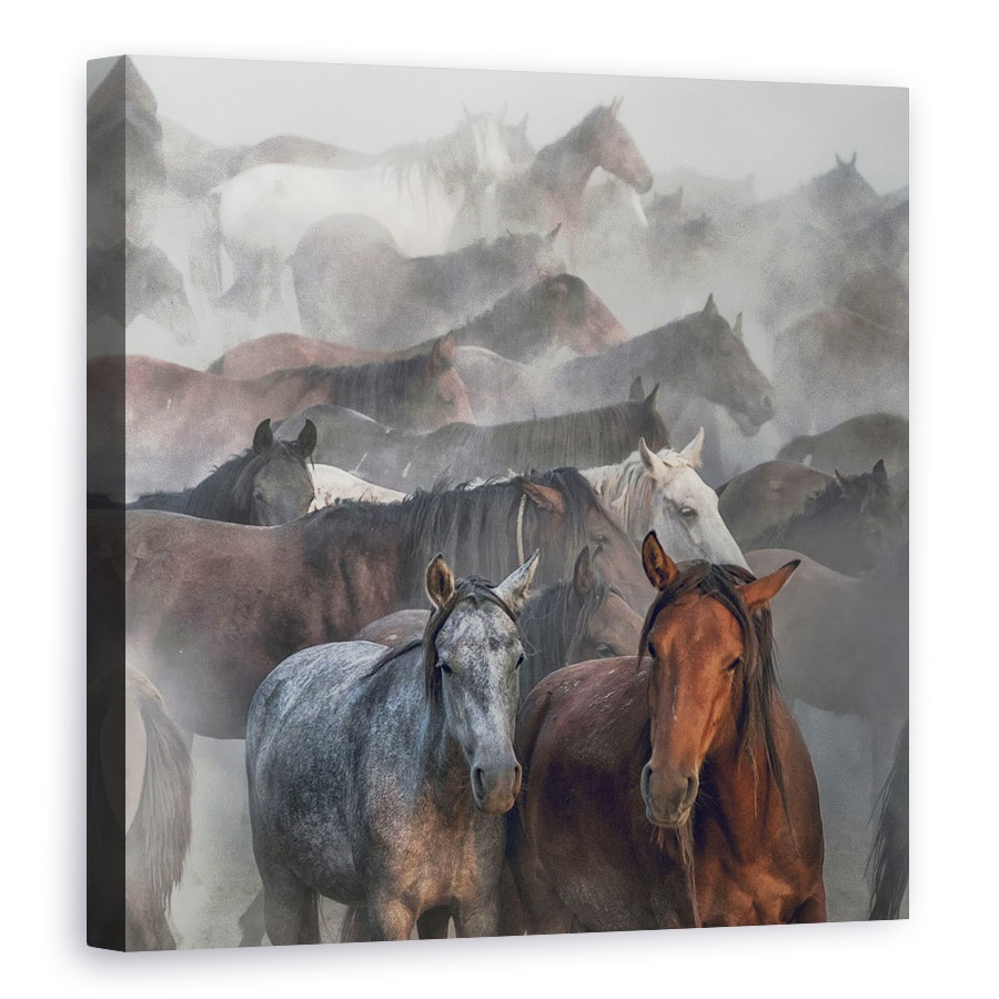 Tablou canvas - Doi Cai, Animale, 70 x 70 cm