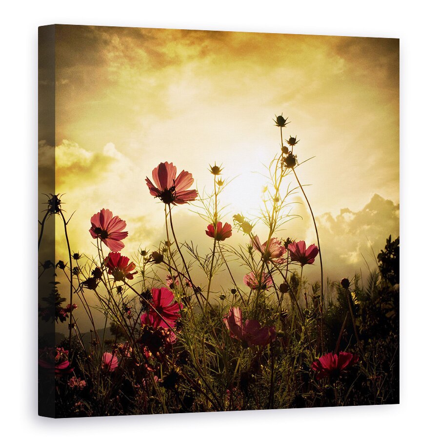 Tablou canvas - Privind Soarele, Floare, Camp, Soare, Rosu, Peisaj, 60 x 60 cm