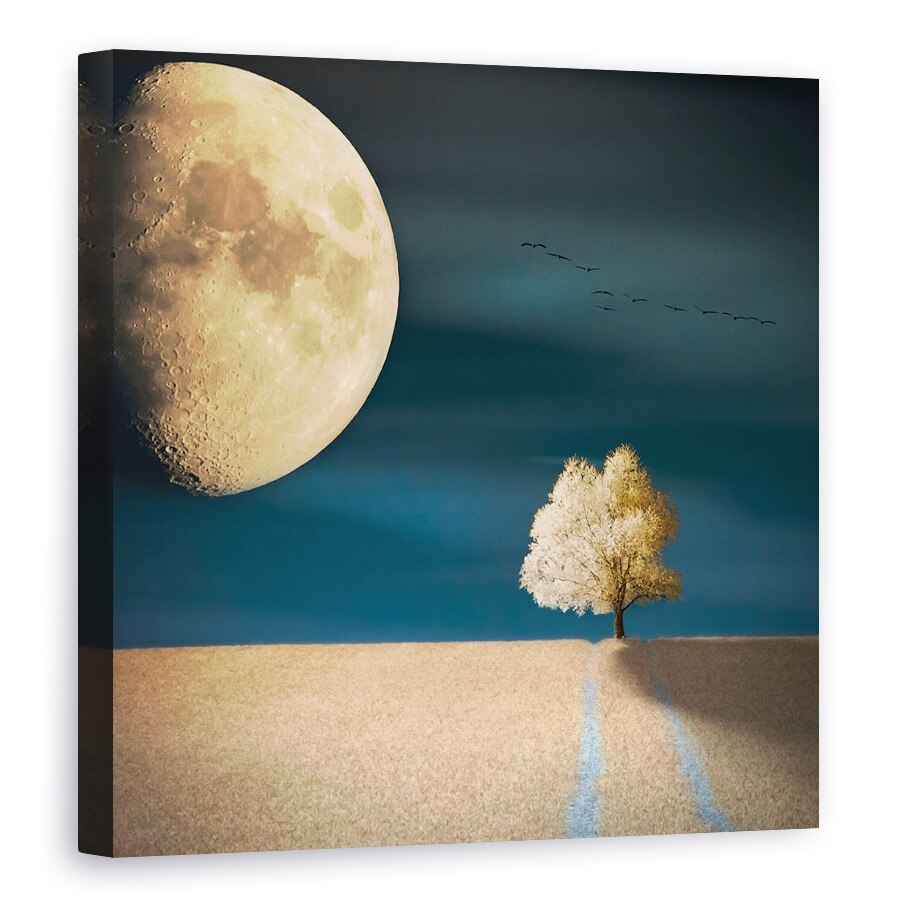 Tablou canvas - Gmo, Bax, Baxteria, Piotr, Krol, Ir, 40 x 40 cm