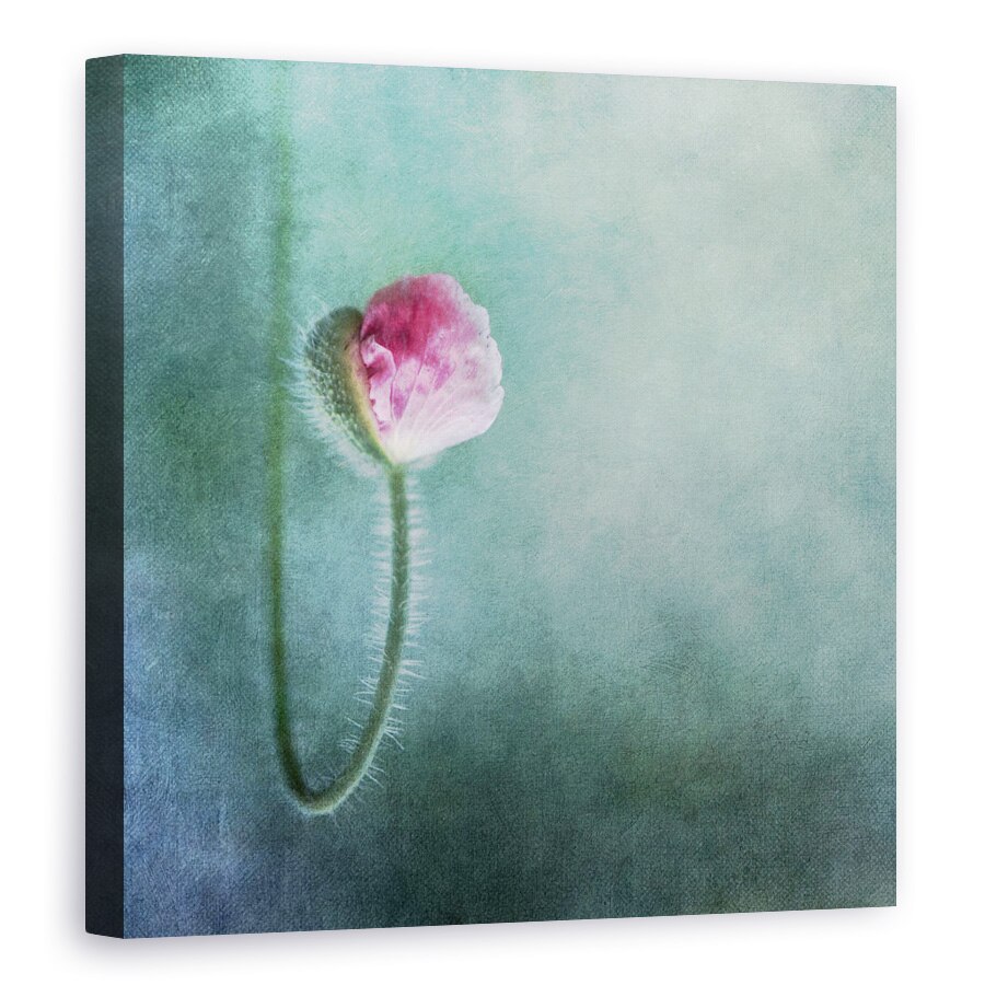 Tablou canvas - Incredere, Textura, Floare, Primavara, Inflorit, 80 x 80 cm