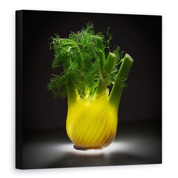 Tablou canvas - Fenicul, Fenicul, Legume, Inima, Bucatarie, Natura Moarta, 70 x 70 cm Tablou canvas - Fenicul, Fenicul, Legume, Inima, Bucatarie, Natura Moarta, 70 x 70 cm