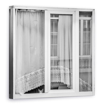 Tablou canvas - Pisoiul Din Fereastra, Belgia, Anvers, Pisica, Fereastra, Ferestre, 70 x 70 cm Tablou canvas - Pisoiul Din Fereastra, Belgia, Anvers, Pisica, Fereastra, Ferestre, 70 x 70 cm