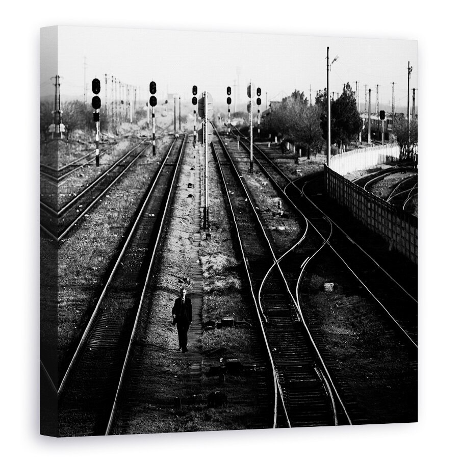 Tablou canvas - Esec, Piatra, Olt, Romania, Alb-Negru, Piese, 40 x 40 cm