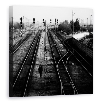 Tablou canvas - Esec, Piatra, Olt, Romania, Alb-Negru, Piese, 70 x 70 cm Tablou canvas - Esec, Piatra, Olt, Romania, Alb-Negru, Piese, 70 x 70 cm