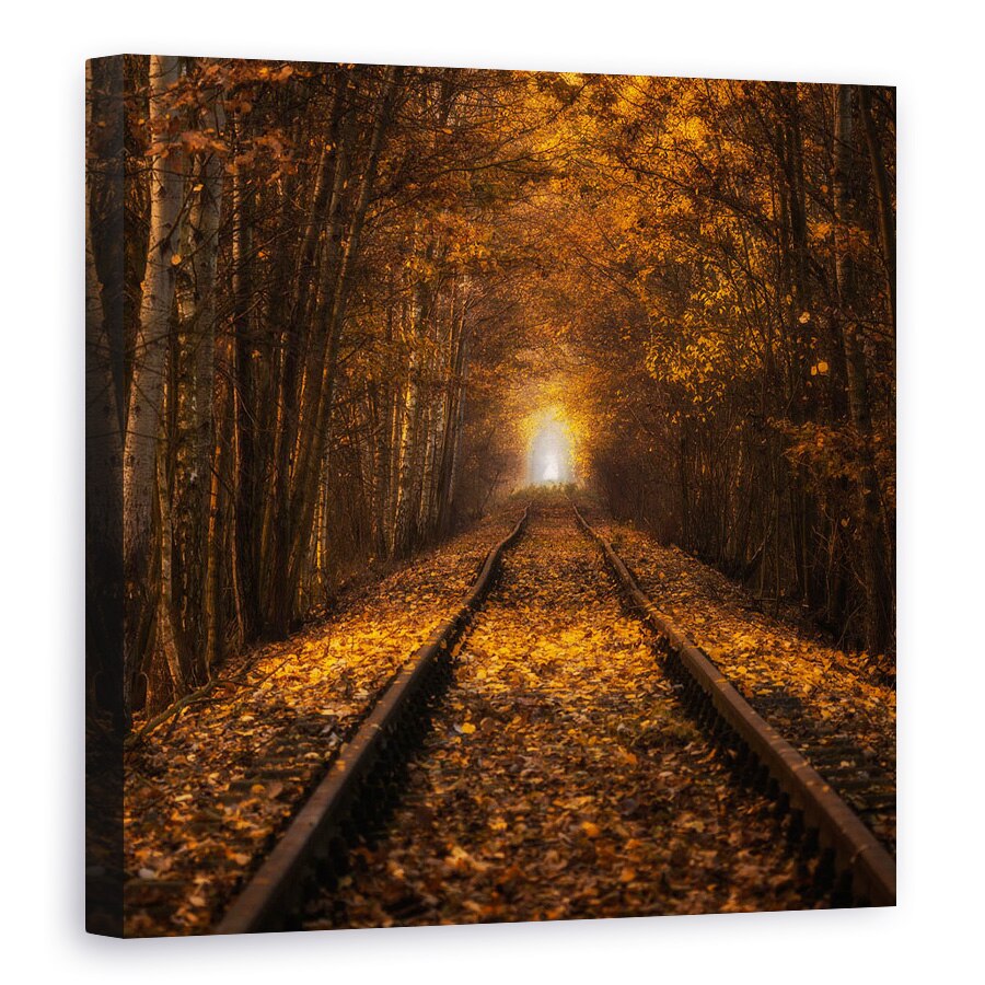 Tablou canvas - Tunelul Toamnei, Polonia, Lumina, Galben, 40 x 40 cm