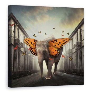 Tablou canvas - Butterphant, Editare Creativa, Editat, Fantezie, Ireal, Elefant, 70 x 70 cm Tablou canvas - Butterphant, Editare Creativa, Editat, Fantezie, Ireal, Elefant, 70 x 70 cm