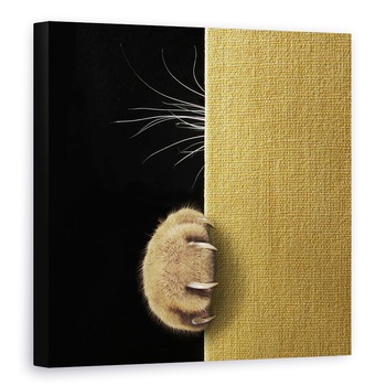 Tablou canvas - Pisica Timida, Pisica, Laba, Gheare, Mustati, Umor, 70 x 70 cm Tablou canvas - Pisica Timida, Pisica, Laba, Gheare, Mustati, Umor, 70 x 70 cm