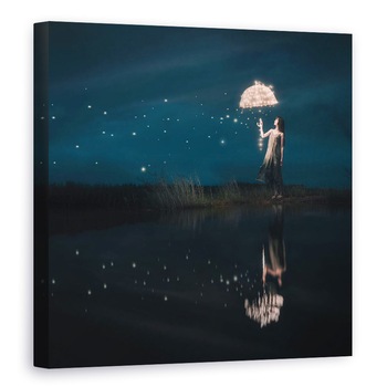 Tablou canvas - Ploaie De Stele, Stare De Spirit, Noapte, Stele Cazatoare, 70 x 70 cm Tablou canvas - Ploaie De Stele, Stare De Spirit, Noapte, Stele Cazatoare, 70 x 70 cm