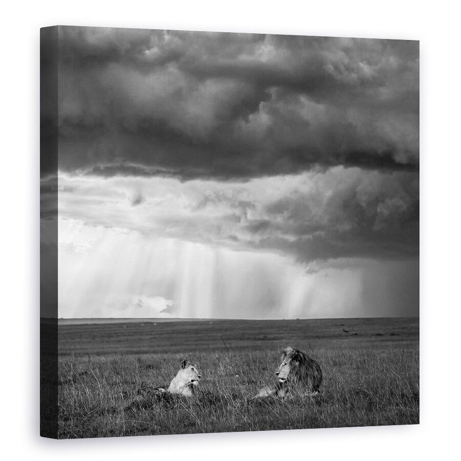 Tablou canvas - Valentine, Africa, Kenya, Lei, Dragoste, 70 x 70 cm