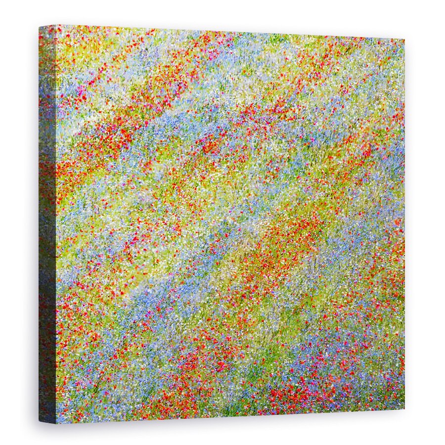 Tablou canvas - Castelluccio 2, Abstract, Camp, Lunca, Floare, Flori, 60 x 60 cm