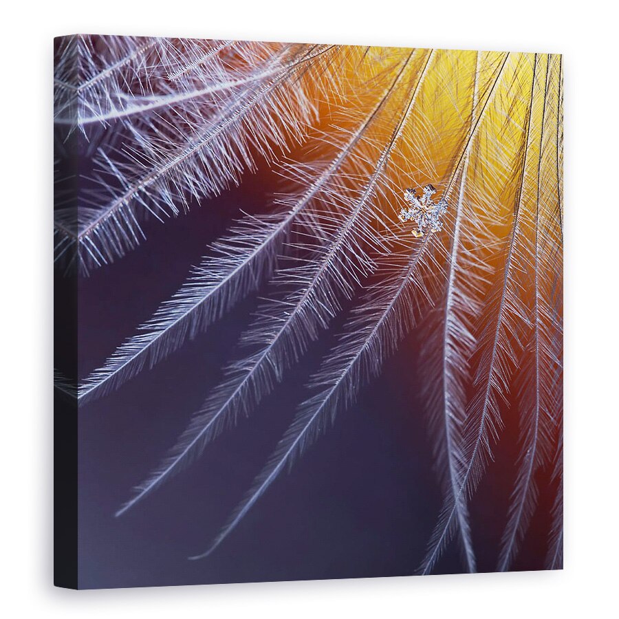 Tablou canvas - Gheata Si Flacara, Zapada, Fulg De Nea, Macro, Inghet, Gheata, 100 x 100 cm