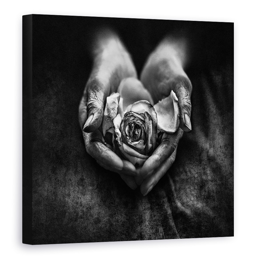 Tablou canvas - Ingrijirea Mainilor, Trandafir, Floare, Alb-Negru, 40 x 40 cm
