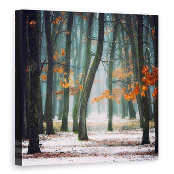 Tablou canvas - Toamna In Sufletul Meu, Rosu, Portocaliu, Frunze, 70 x 70 cm Tablou canvas - Toamna In Sufletul Meu, Rosu, Portocaliu, Frunze, 70 x 70 cm