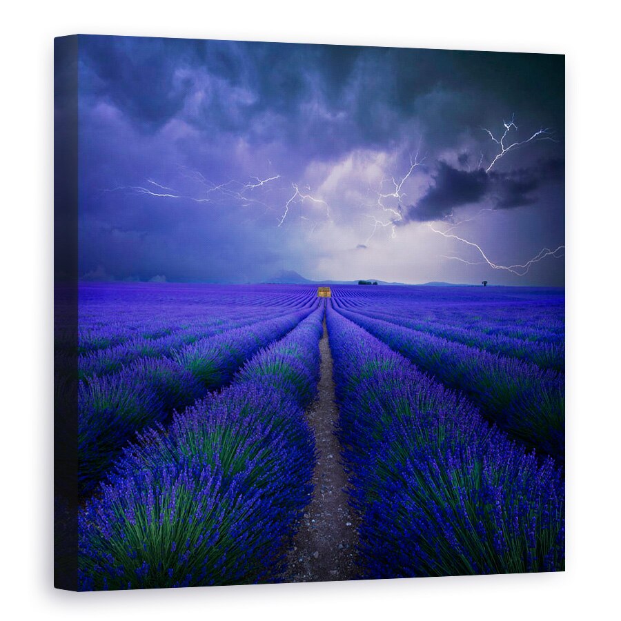 Tablou canvas - Vremea In Lavendelfeld, Lavanda, Camp De Lavanda, Ireal, Montaj, 60 x 60 cm