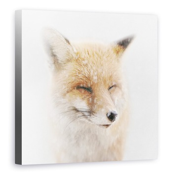 Tablou canvas - Satisfacut, Vulpe, Zapada, Fata, Iarna, Animal, 90 x 90 cm Tablou canvas - Satisfacut, Vulpe, Zapada, Fata, Iarna, Animal, 90 x 90 cm