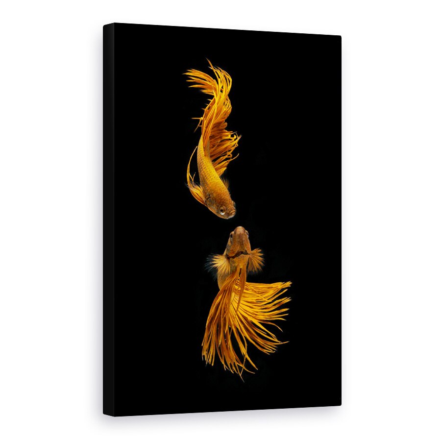 Tablou canvas - Povestea De Dragoste A Pestilor De Aur, Animal, 20 x 30 cm