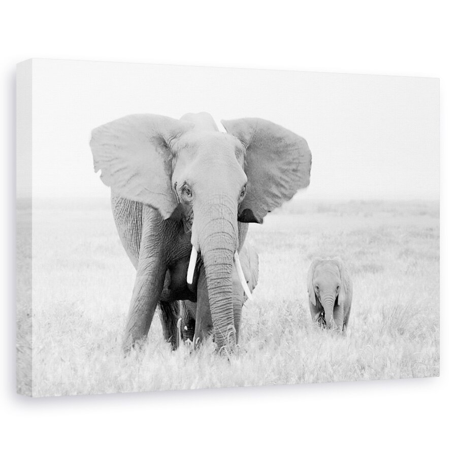Tablou canvas - Stai Departe, Elefant, Salbatic, Natura, Animal, Dragut, 20 x 30 cm