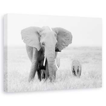 Tablou canvas - Stai Departe, Elefant, Salbatic, Natura, Animal, Dragut, 20 x 30 cm Tablou canvas - Stai Departe, Elefant, Salbatic, Natura, Animal, Dragut, 20 x 30 cm