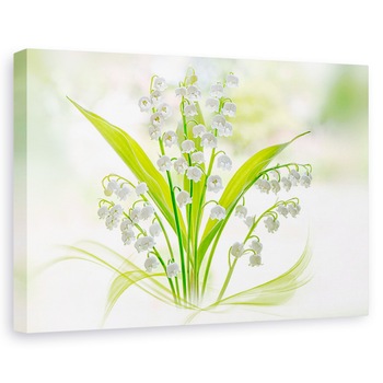 Tablou canvas - Crinul Din Vale, Flori, Verde, Luminos, 20 x 30 cm Tablou canvas - Crinul Din Vale, Flori, Verde, Luminos, 20 x 30 cm