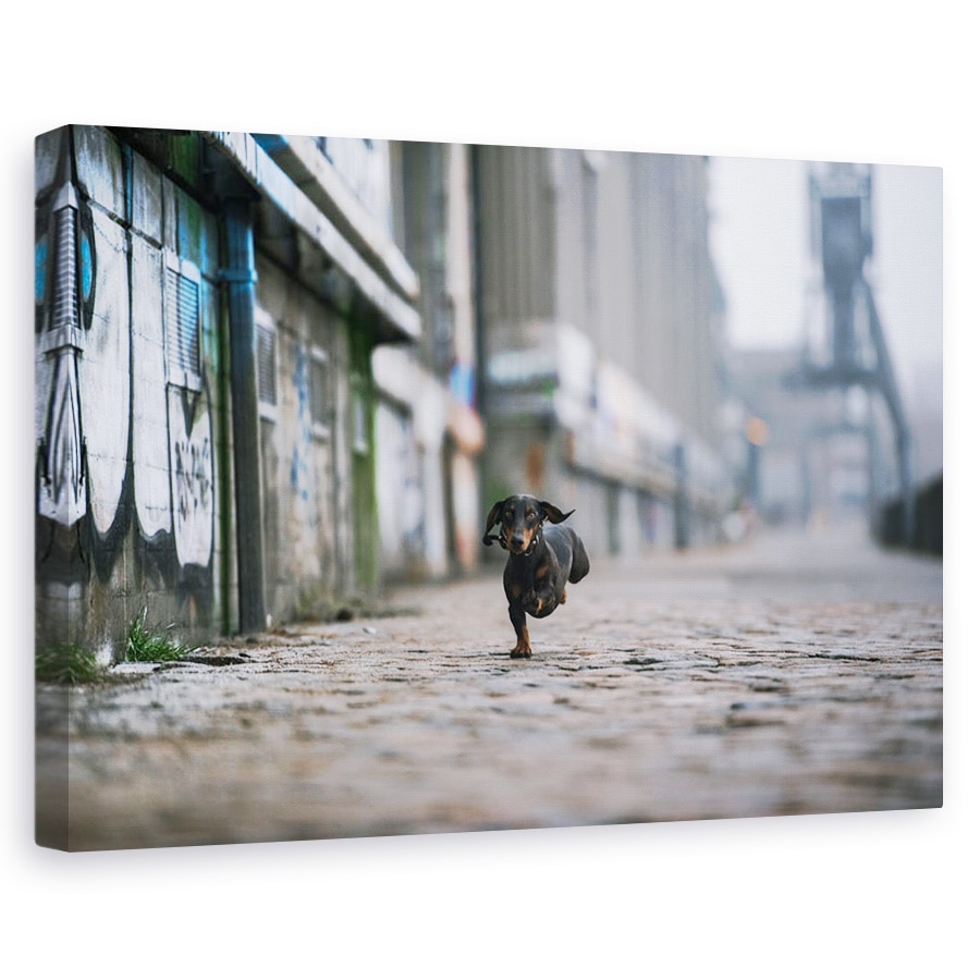 Tablou canvas - Partea Intunecata A Hamburgului, Caini, Industrie, Animale, 60 x 90 cm