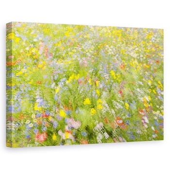 Tablou canvas - Flori De Camp De Vara, Impresionism, Vara, Sezon, 40 x 60 cm Tablou canvas - Flori De Camp De Vara, Impresionism, Vara, Sezon, 40 x 60 cm