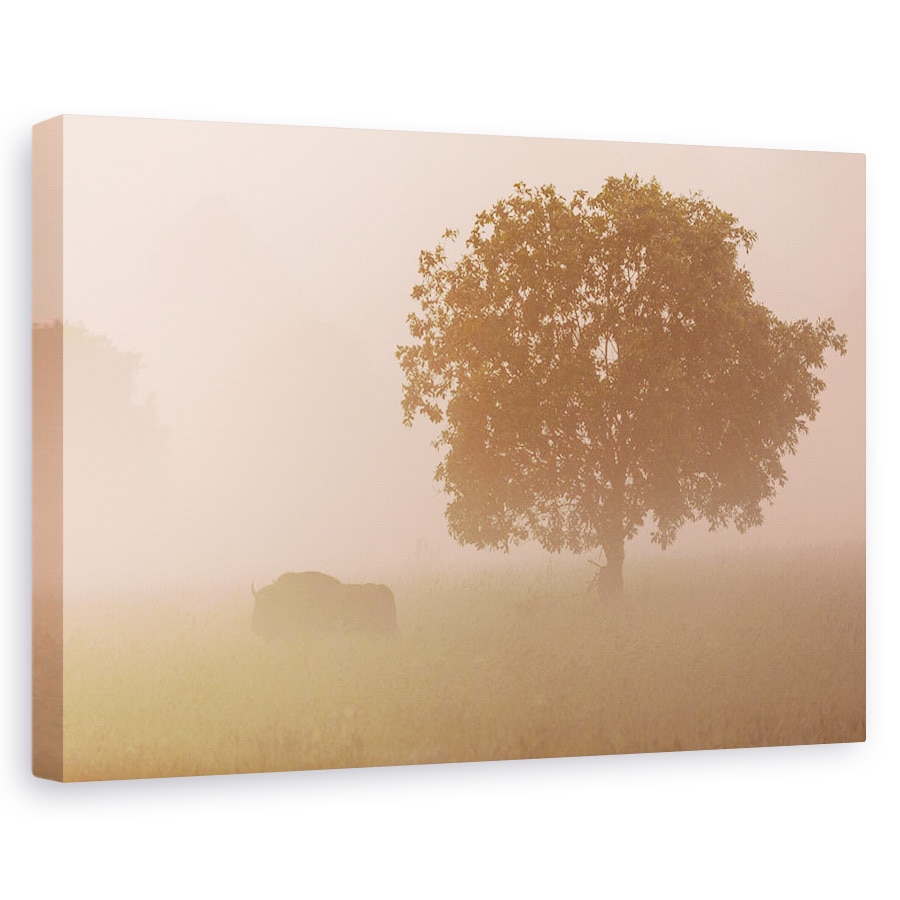 Tablou canvas - Bizon European, Ceata, Ancestrala, Salbatic, 20 x 30 cm