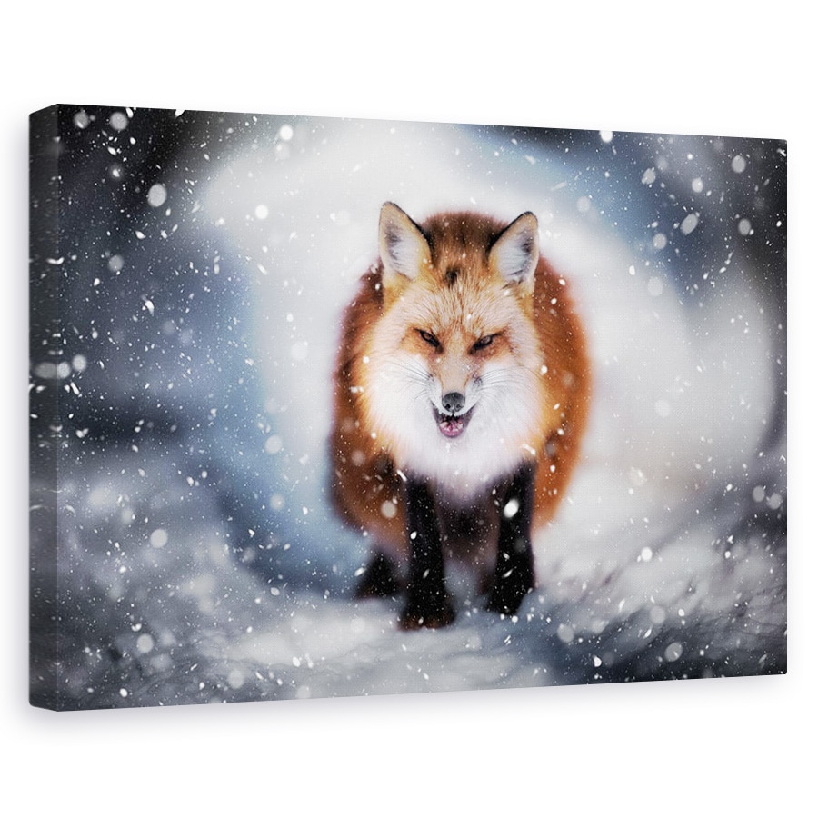 Tablou canvas - Renart, Vulpe, Zapada, Ninge, Rece, 20 x 30 cm
